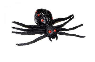Pavúk gumenýSkvelý doplnok ku karnevalovevému kostýmu.