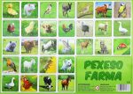 Pexeso farmaPexeso je jednou z najznámejších a najobľúbenejších detských hier. Deti si pri hre precvičujú pamäť