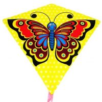 Šarkan motýľ Lietajúci šarkan k jeseni neoddeliteľne patrí a deti púšťanie šarkanov jednoducho milujú. Poďte si spoločne zalietať s motýľom!  Veľkosť: 68 x 73 cm
