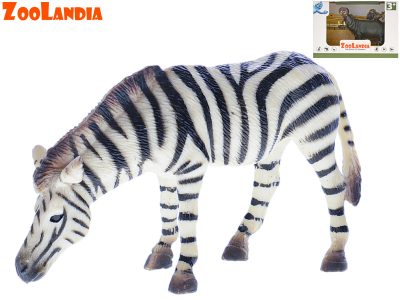 Zoolandia zebra/hroch 9