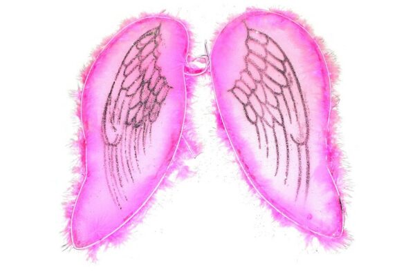 Krídla anjelské ružovéKrásne krídla pre skutočných anjelov v ružovej farbe! Tento parádny kúsok na gumičku je skvelým doplnkom k anjelskému kostýmu.Dĺžka krídla: 40 cm