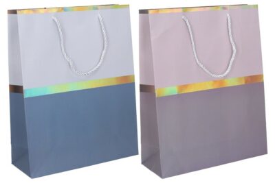 Darčeková taška Darčeková taška vyrobená z kvalitného tvrdého papiera s rôznymi motívmi